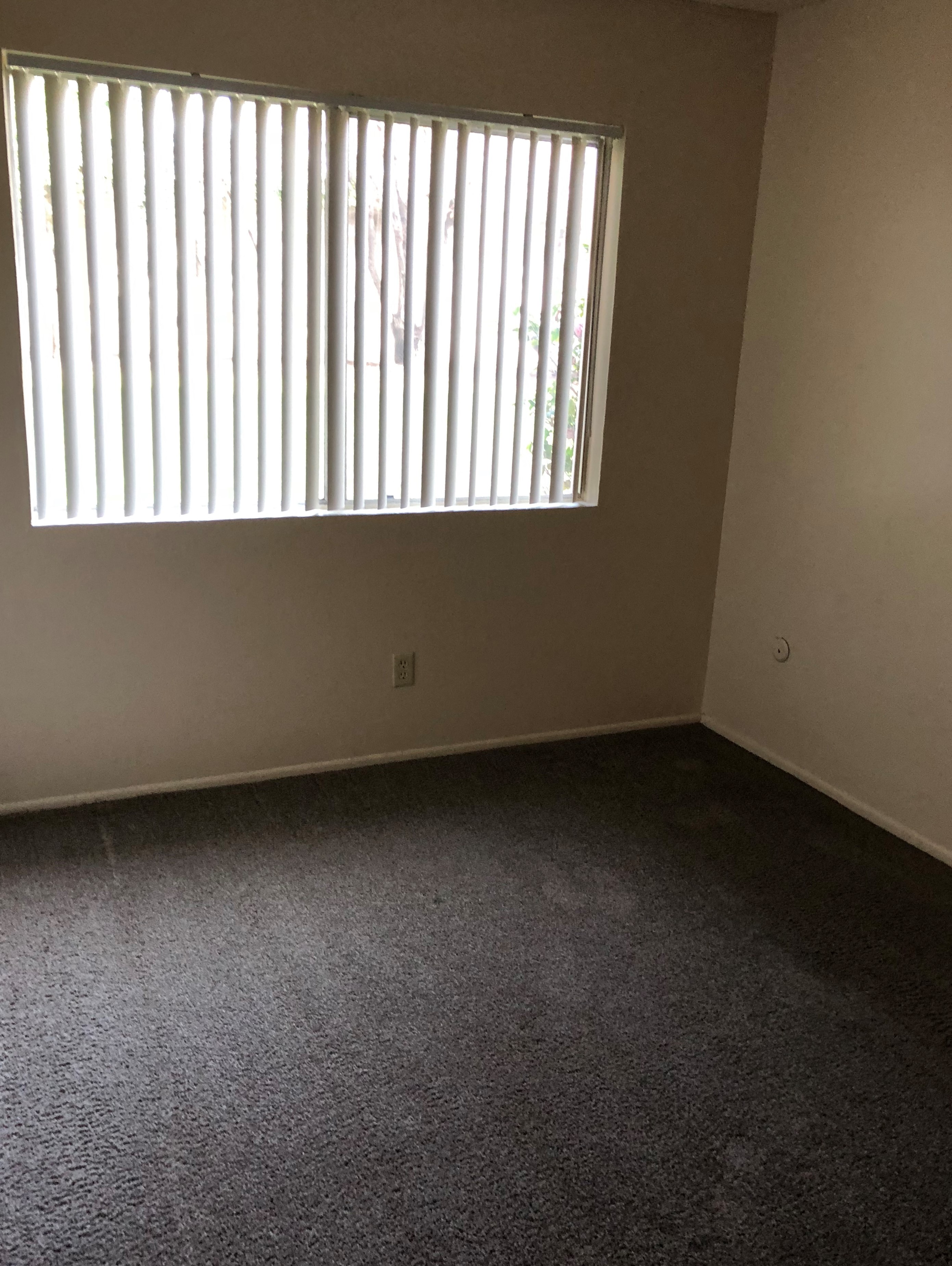 Dana Drive Apartments photo 4